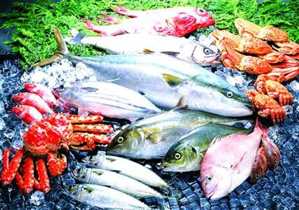 水產(chǎn)公司vi設計