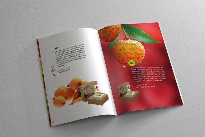 宣傳冊設(shè)計(jì)一般一頁多少錢？宣傳冊的特點(diǎn)有哪些？