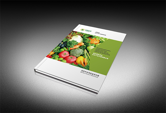 產(chǎn)品宣傳畫冊設(shè)計哪家好？畫冊色彩如何搭配？