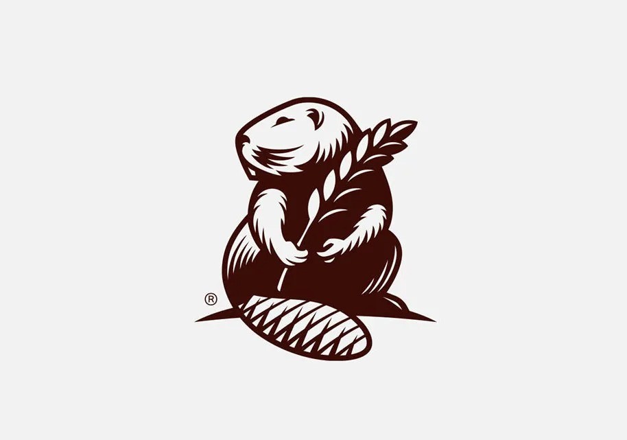 logo商標(biāo)設(shè)計(jì)要求有哪些？條件是什么