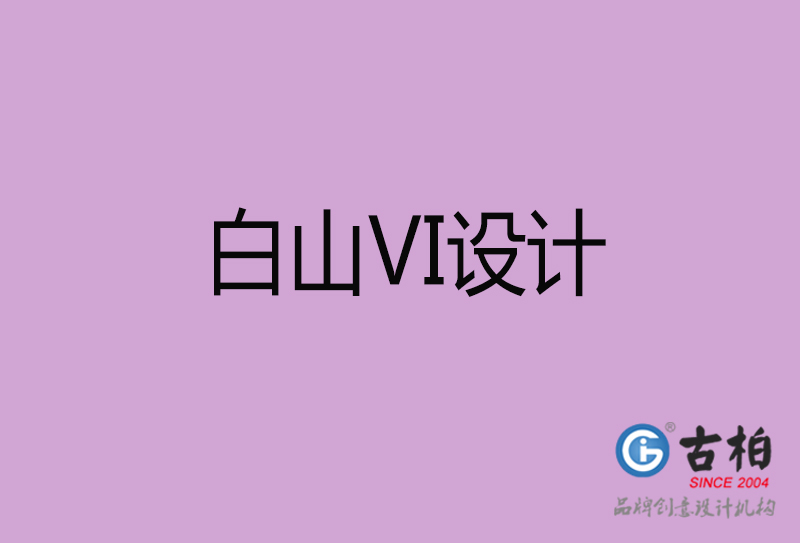 白山品牌VI設(shè)計-標志VI設(shè)計-白山VI設(shè)計公司