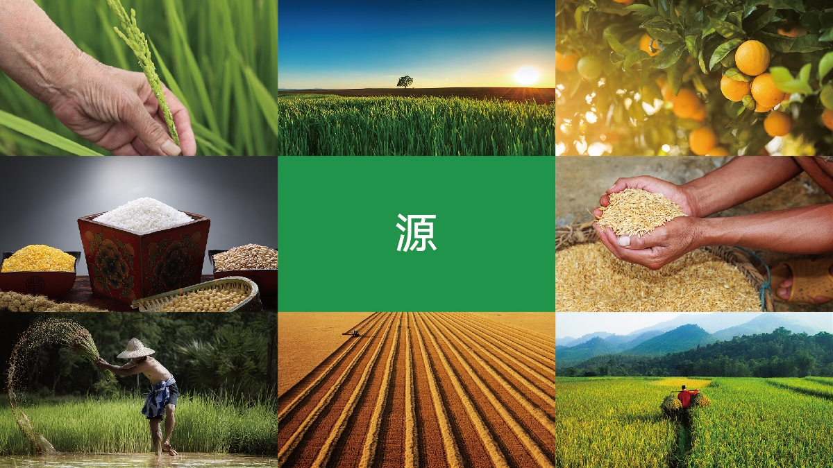 農(nóng)產(chǎn)品品牌設(shè)計技巧有哪些？怎樣塑造品牌形象