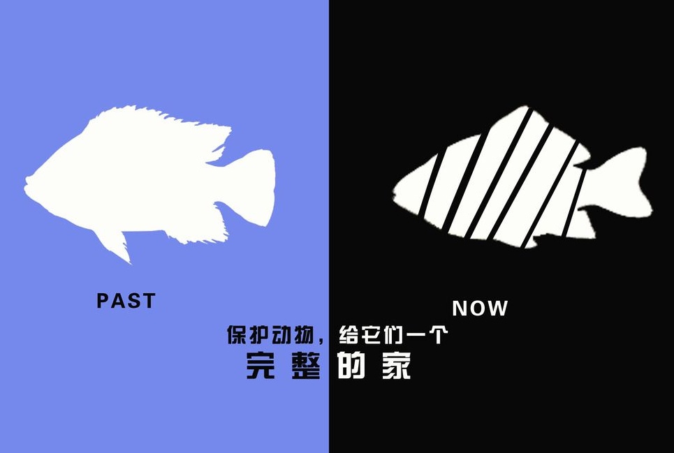 廣告設(shè)計(jì)制作有哪些要求？有哪些注意事項(xiàng)？