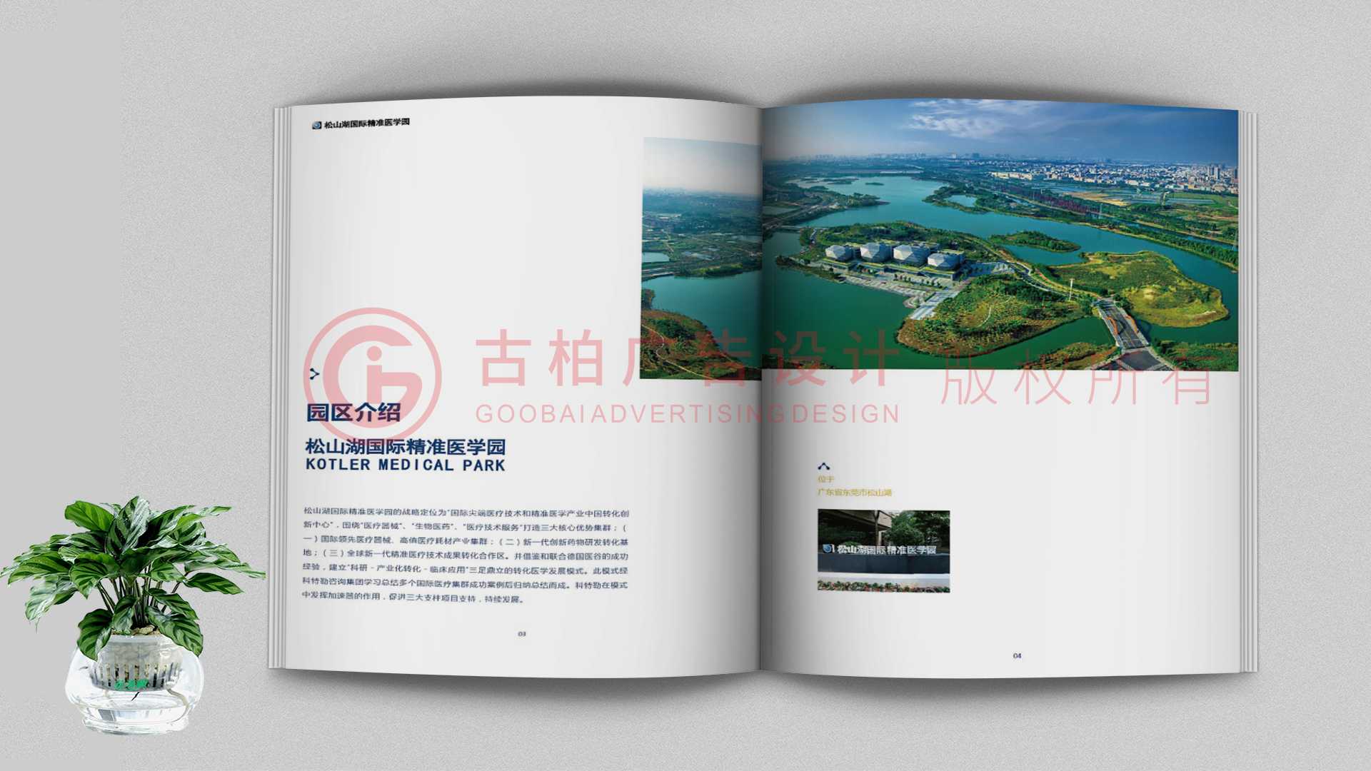 一本聚會紀(jì)念冊該如何通過排版來提升整體的美觀性？