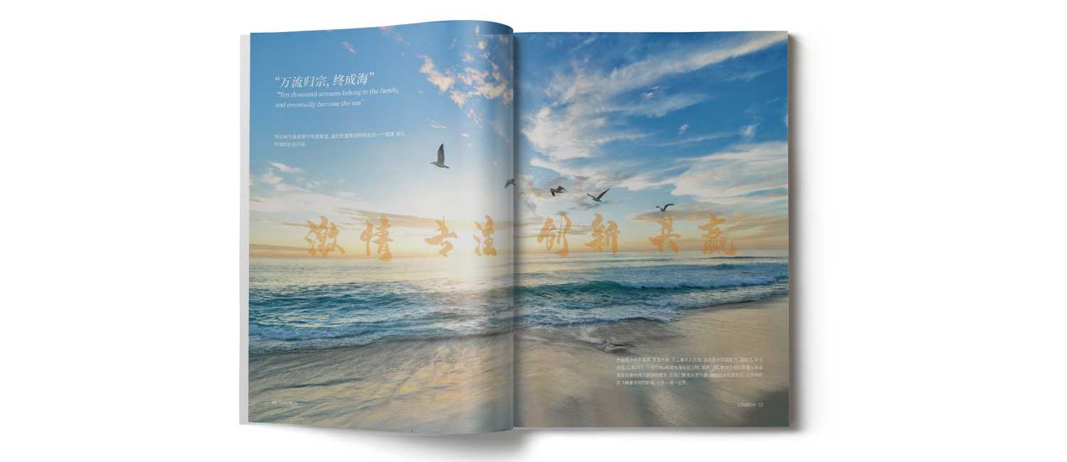 水上樂園畫冊的一些設計技巧？