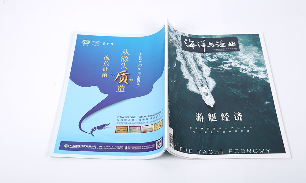 設(shè)計(jì)畫冊價(jià)格比較劃算？